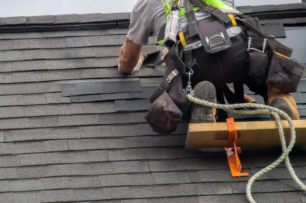 Best Sealant for Roof  in Johnson City, KS